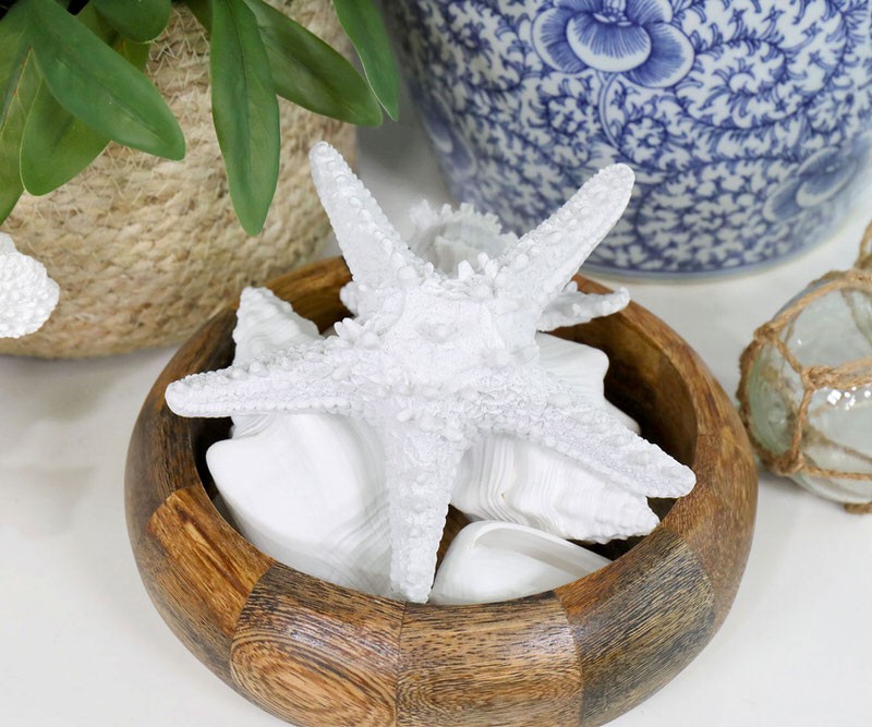 Coast White Starfish - Resin