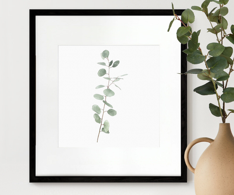 Kendale III Eucalyptus Botanical Print - Framed