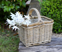 Applewood Carry Basket - Small