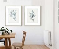 Seaweed Specimen III Art Print Framed