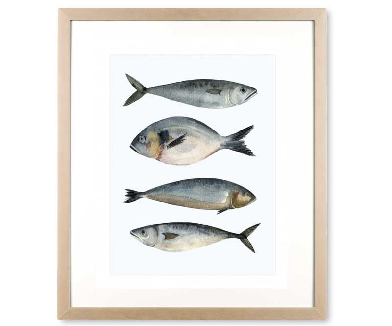 Four Fish II Art Print Framed