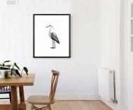 Heron Sea Bird I Art Print Framed