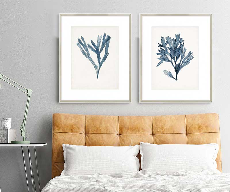 Seaweed Specimen II Art Print Framed