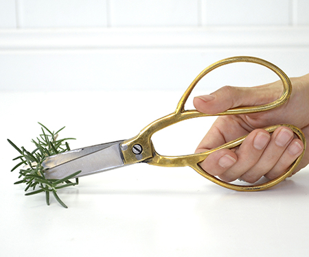Gold Handle Scissors - Large Kitchen or Bonsai Scissors