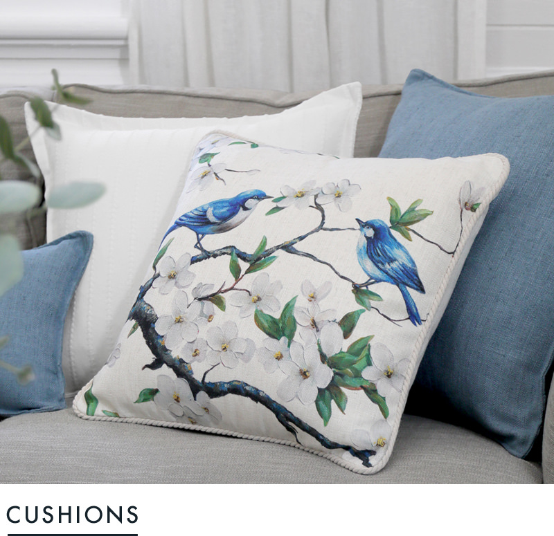 Shop Cushions