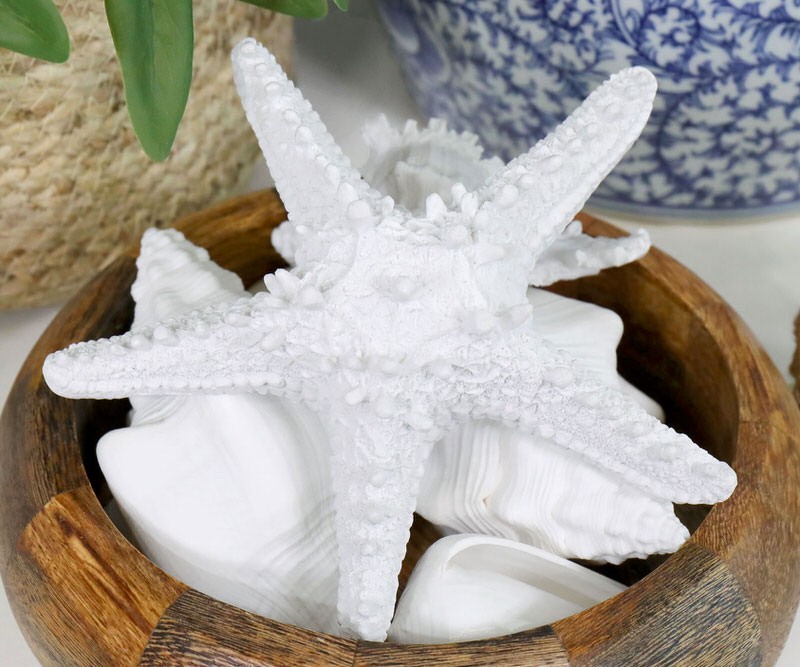 Coast White Starfish - Resin