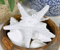 Coast White Starfish - Resin