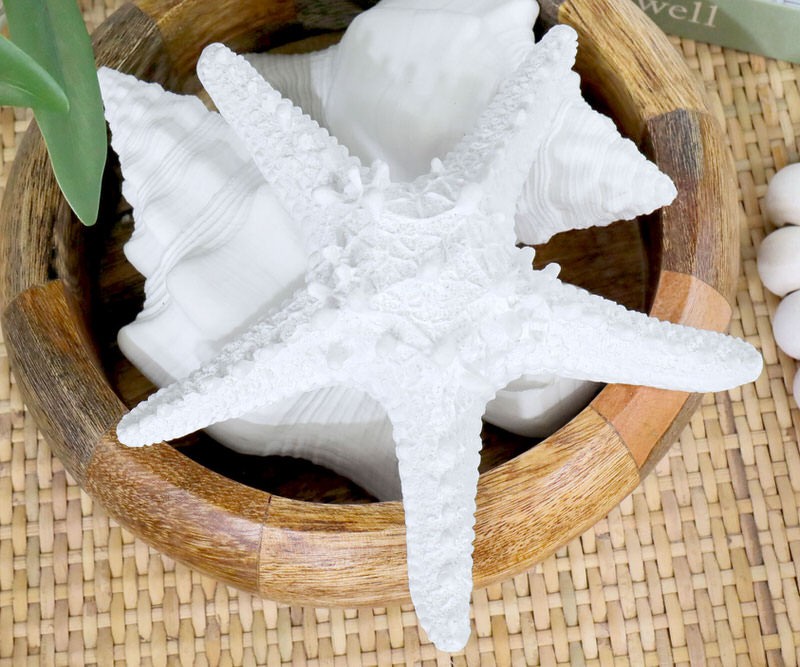 Coast White Starfish - Resin