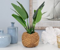 Banana Leaf Palm in Rope Knot Pot