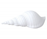 Carmen Large White Sea Shell