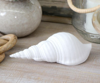 Carmen Large White Sea Shell