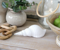 Carmen Large White Sea Shell