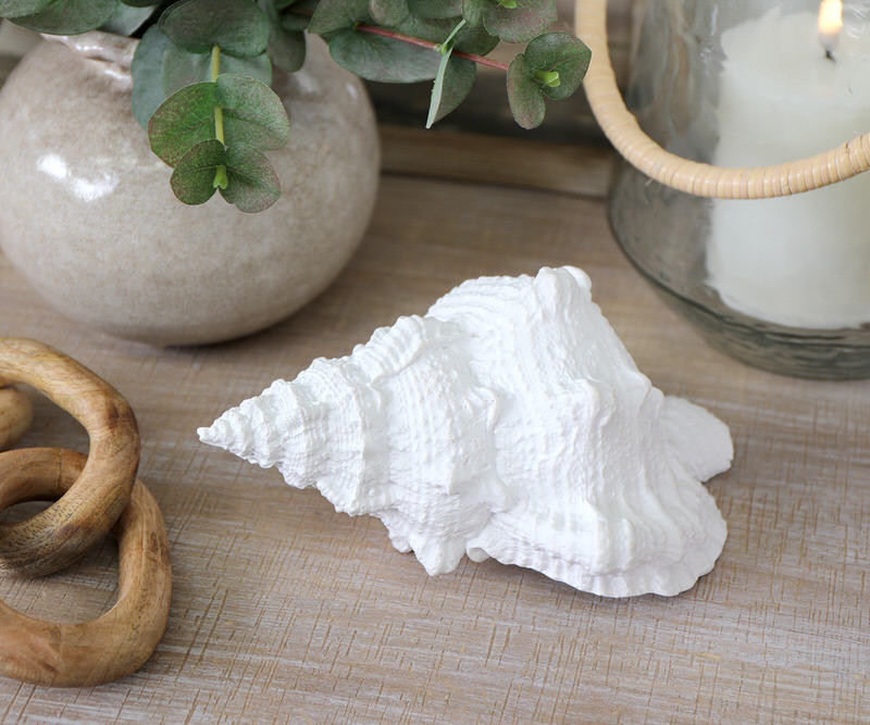 Blanca Large White Sea Shell