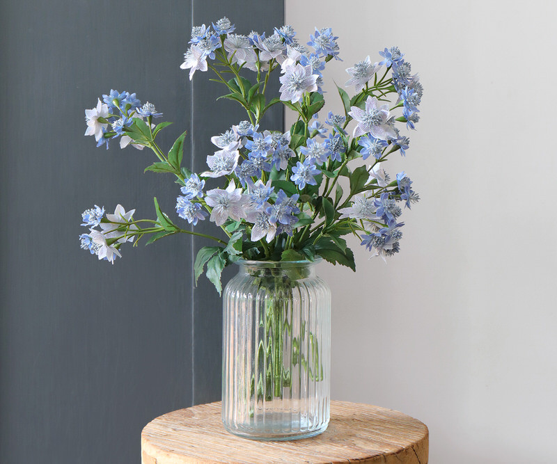 Set 3 Blue Meadow Star Flower Sprays - Astrantia