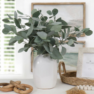 Set 3 Berrima Eucalyptus Stems - Silver Dollar, decorative flowers or foliage for vase styling