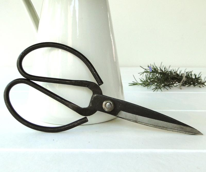 French Scissors large