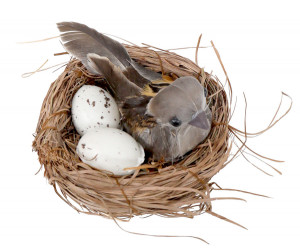 Little Sparrow Bird Nest Decoration