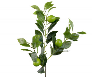 Artificial Lime Branch Spray