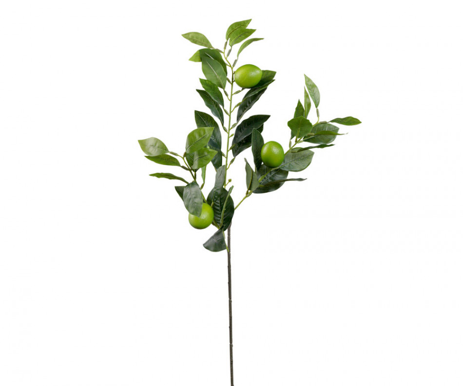 Artificial Lime Branch Spray