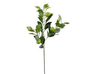 Artificial Lime Branch Spray