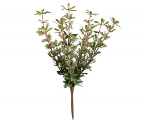 Set 2 Golden Sedum Leaf Sprays