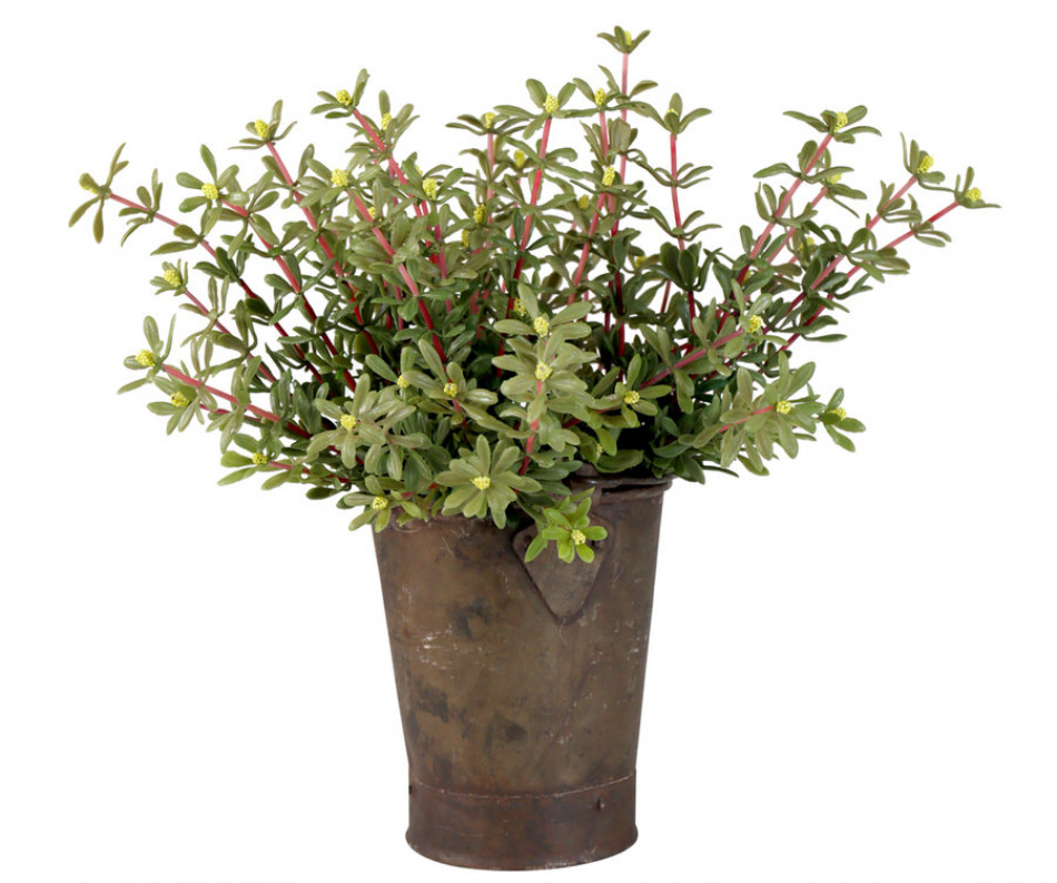 Set 2 Golden Sedum Leaf Sprays