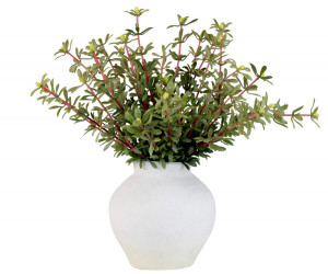 Set 2 Golden Sedum Leaf Sprays