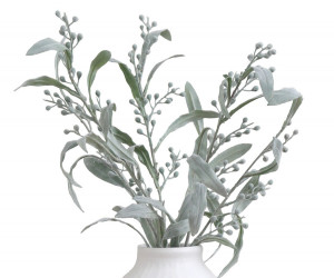 Set 3 Mimosa Leaf Stems