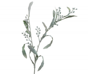 Set 3 Mimosa Leaf Stems