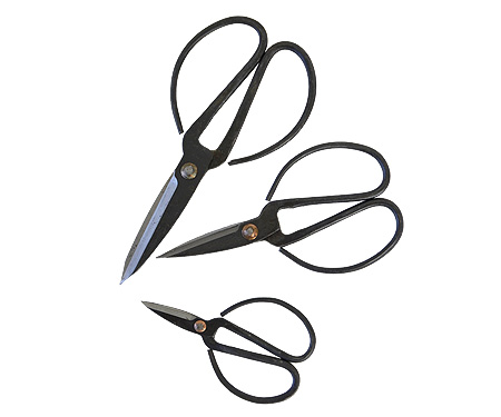 French Scissors - medium