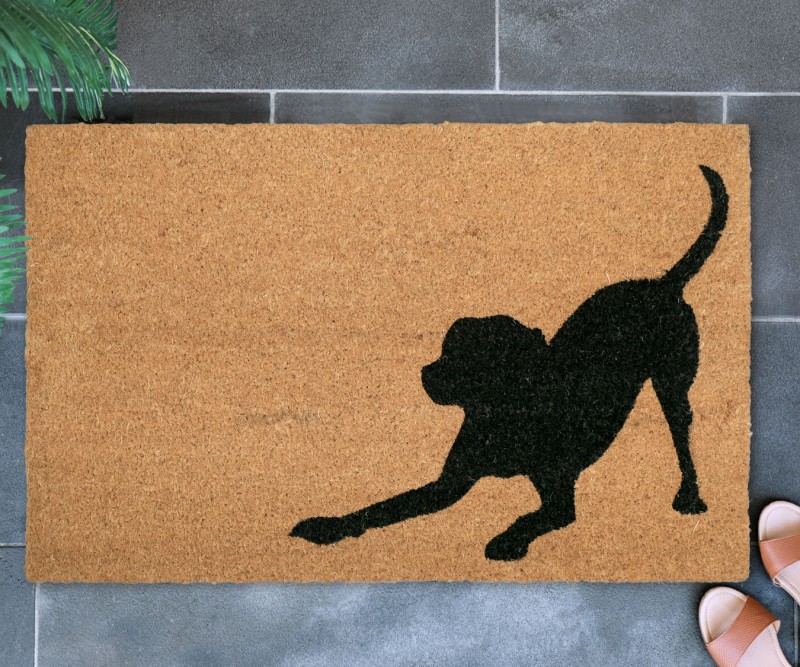 Large Playful Dog Doormat - PVC Backed