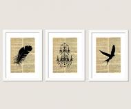 Set 3 Vintage Feather, Bird, Chandelier Prints A4