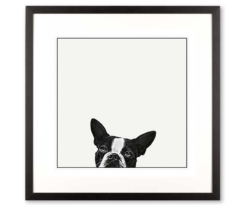 'Loyalty' Black & White Dog Art Print Framed