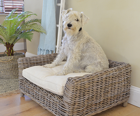 Cane Dog Bed Small with Cushion