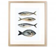 Four Fish I Art Print Framed