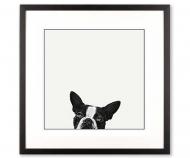 'Loyalty' Black & White Dog Art Print Framed