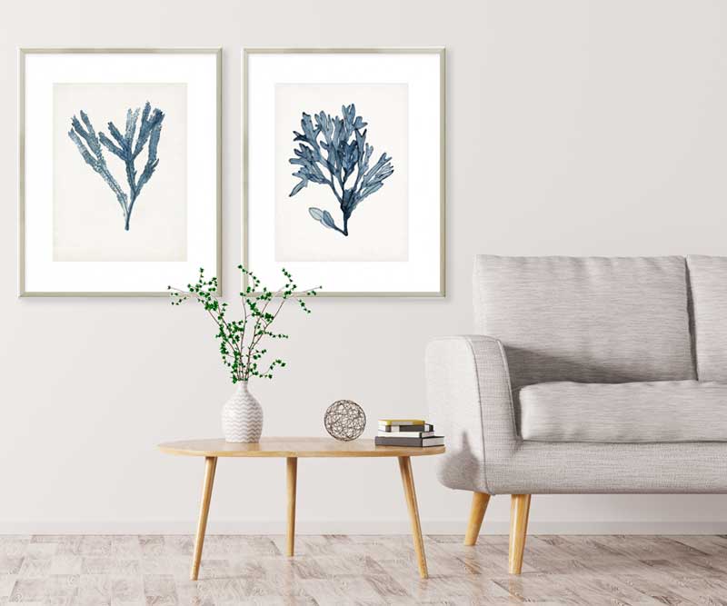 Seaweed Specimen II Art Print Framed