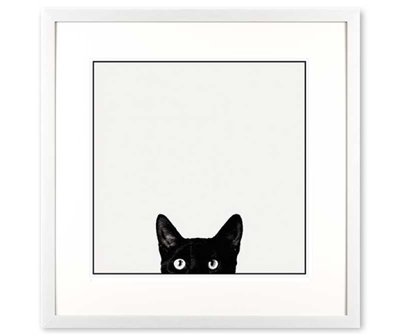 'Curiosity' Black Cat Art Print Framed