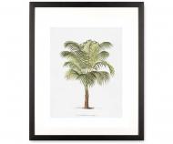 Les Palmiers II Palm Tree Wall Art Print