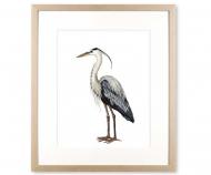 Heron Sea Bird I Art Print Framed