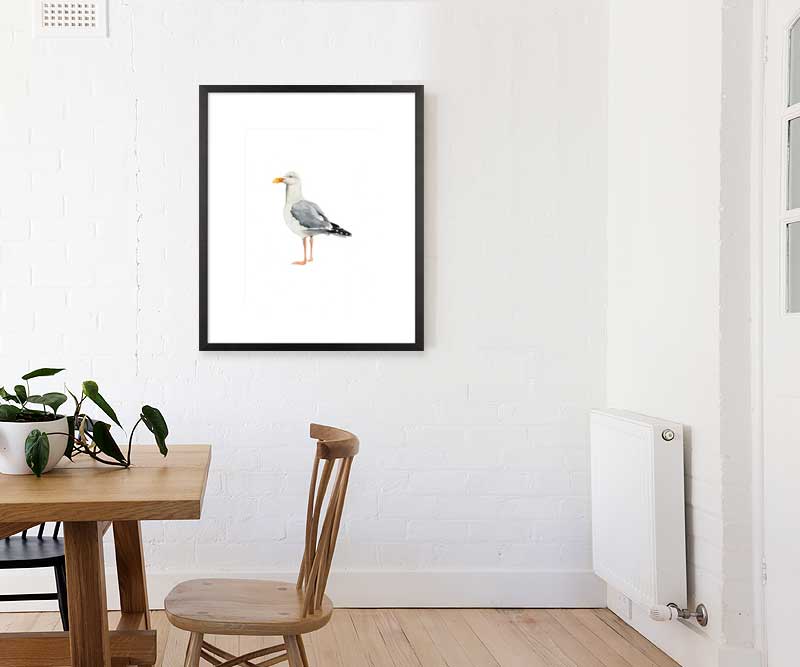 Seagull Sea Bird II Art Print Framed
