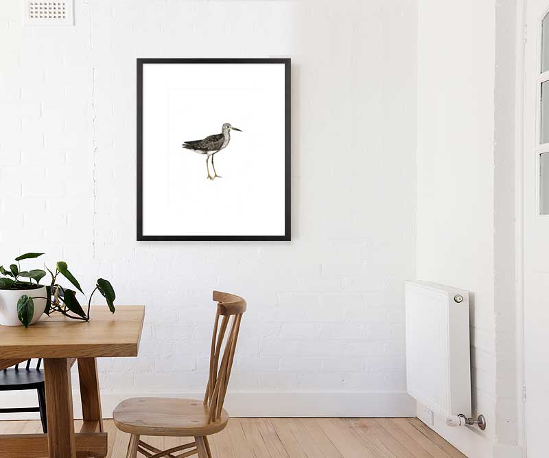 Sandpiper Sea Bird III Art Print Framed