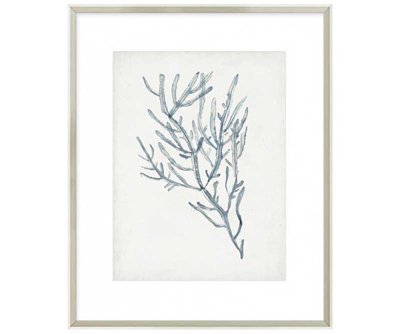 Seaweed Specimen III Art Print Framed