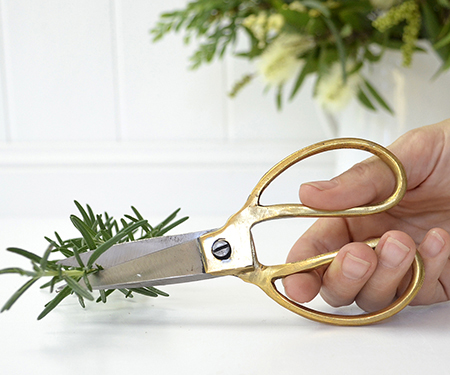 Gold Handle Scissors - Medium Kitchen or Bonsai Scissors