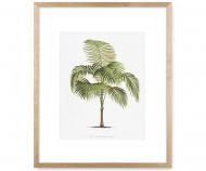 Les Palmiers I Palm Tree Wall Art Print