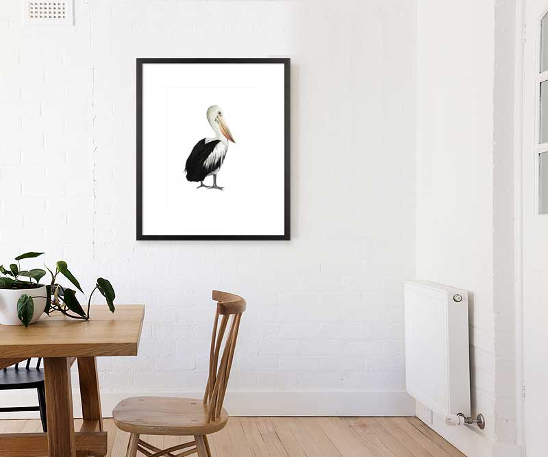 Pelican Sea bird IV Art Print Framed