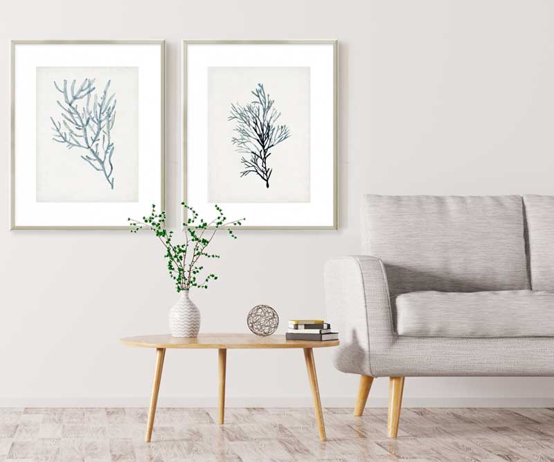 Seaweed Specimen III Art Print Framed