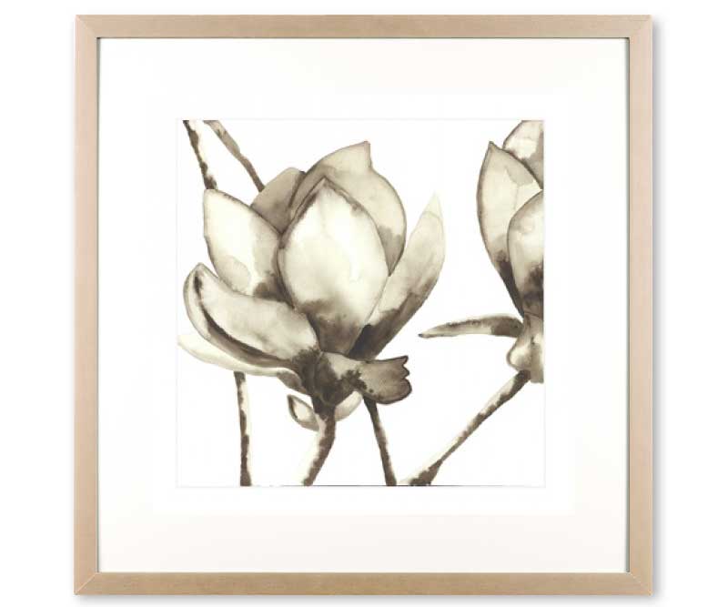 Watercolour Magnolia I Art Print Framed