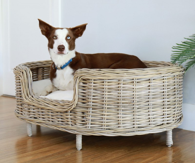dog basket cushions