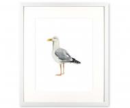 Seagull Sea Bird II Art Print Framed